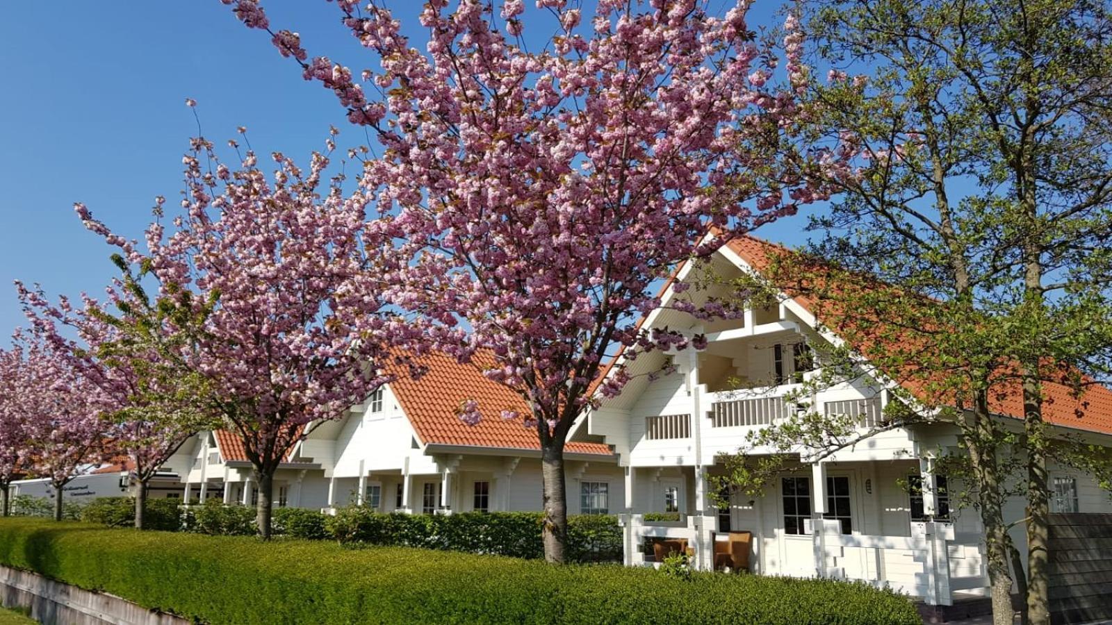 Holiday Park Dennenbos Oostkapelle Extérieur photo